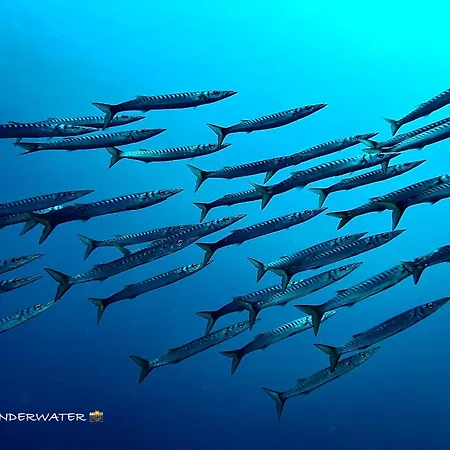 빌라 A 100mt Dal Mare 산타 카테리나